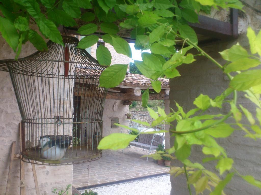 Poggio Dei Prugnoli Bed & Breakfast Tavoleto Exterior photo