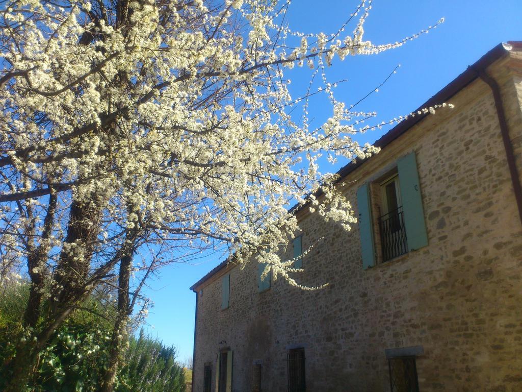 Poggio Dei Prugnoli Bed & Breakfast Tavoleto Exterior photo
