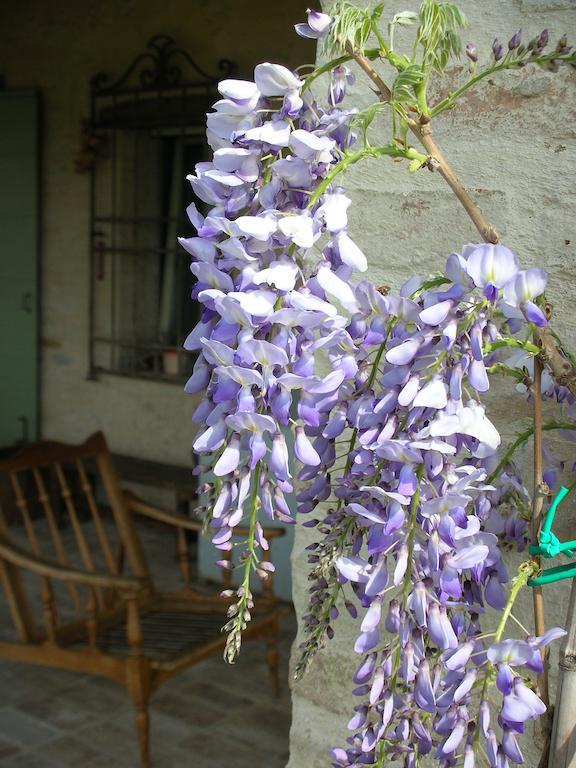 Poggio Dei Prugnoli Bed & Breakfast Tavoleto Exterior photo