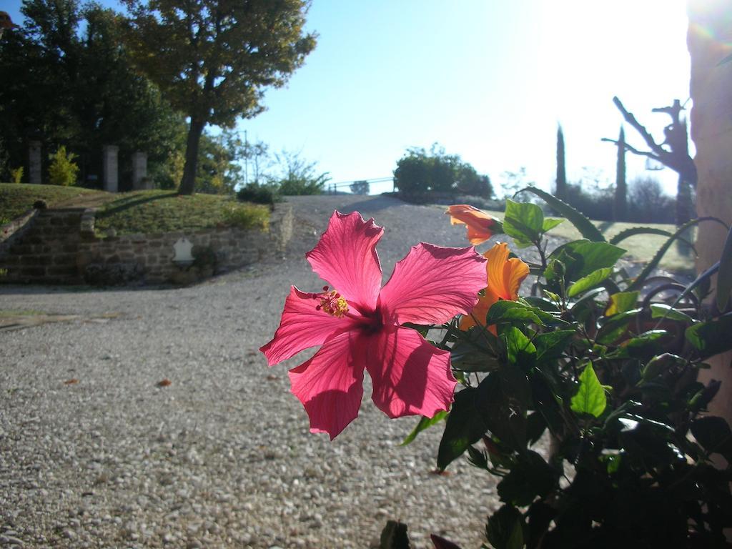 Poggio Dei Prugnoli Bed & Breakfast Tavoleto Exterior photo
